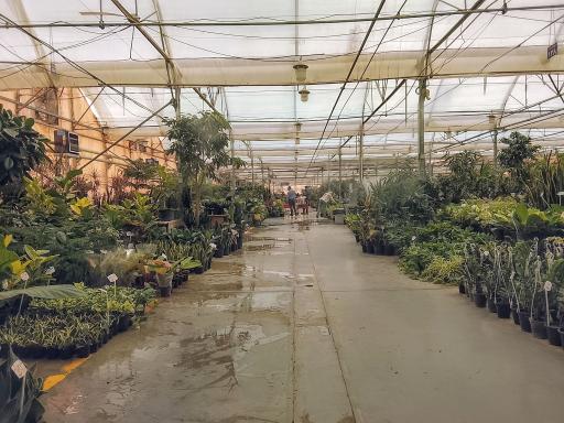 عکس بازار بین المللی گل و گیاه سپاهان