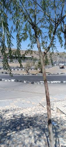 عکس دریاچه سد چالیدره