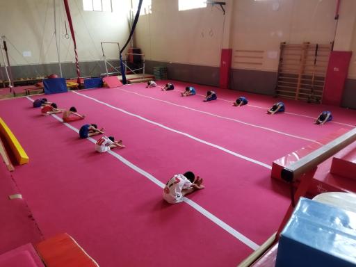 عکس آکادمی ژیمناستیک ملک زاده