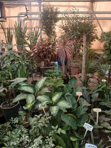 عکس بازار بین المللی گل و گیاه سپاهان