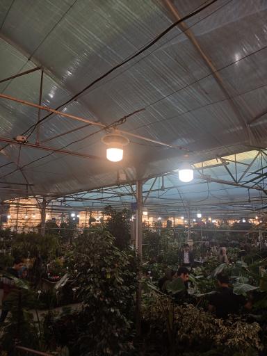 عکس بازار بین المللی گل و گیاه سپاهان