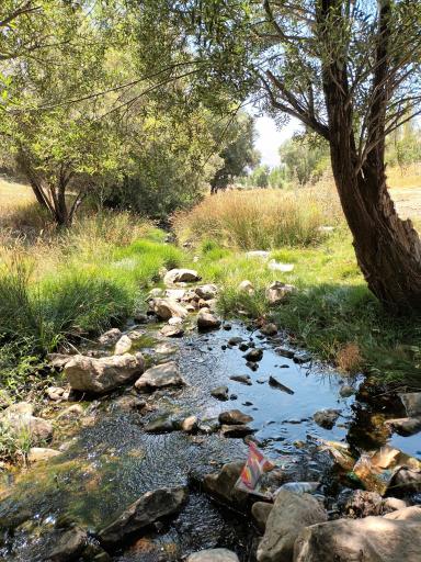 عکس سرچشمه سراب قروه
