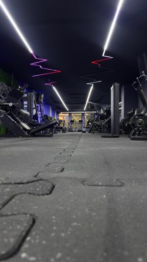 عکس باشگاه بدنسازی وینر