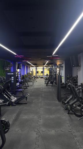 عکس باشگاه بدنسازی وینر