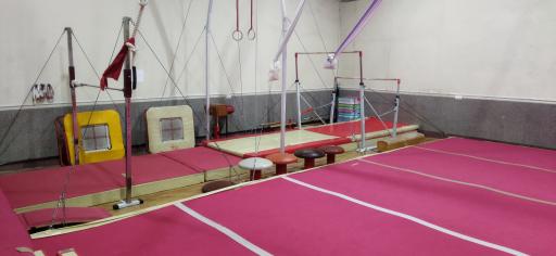 عکس آکادمی ژیمناستیک ملک زاده