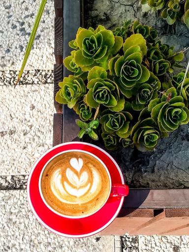 عکس کافه رستوران لئا