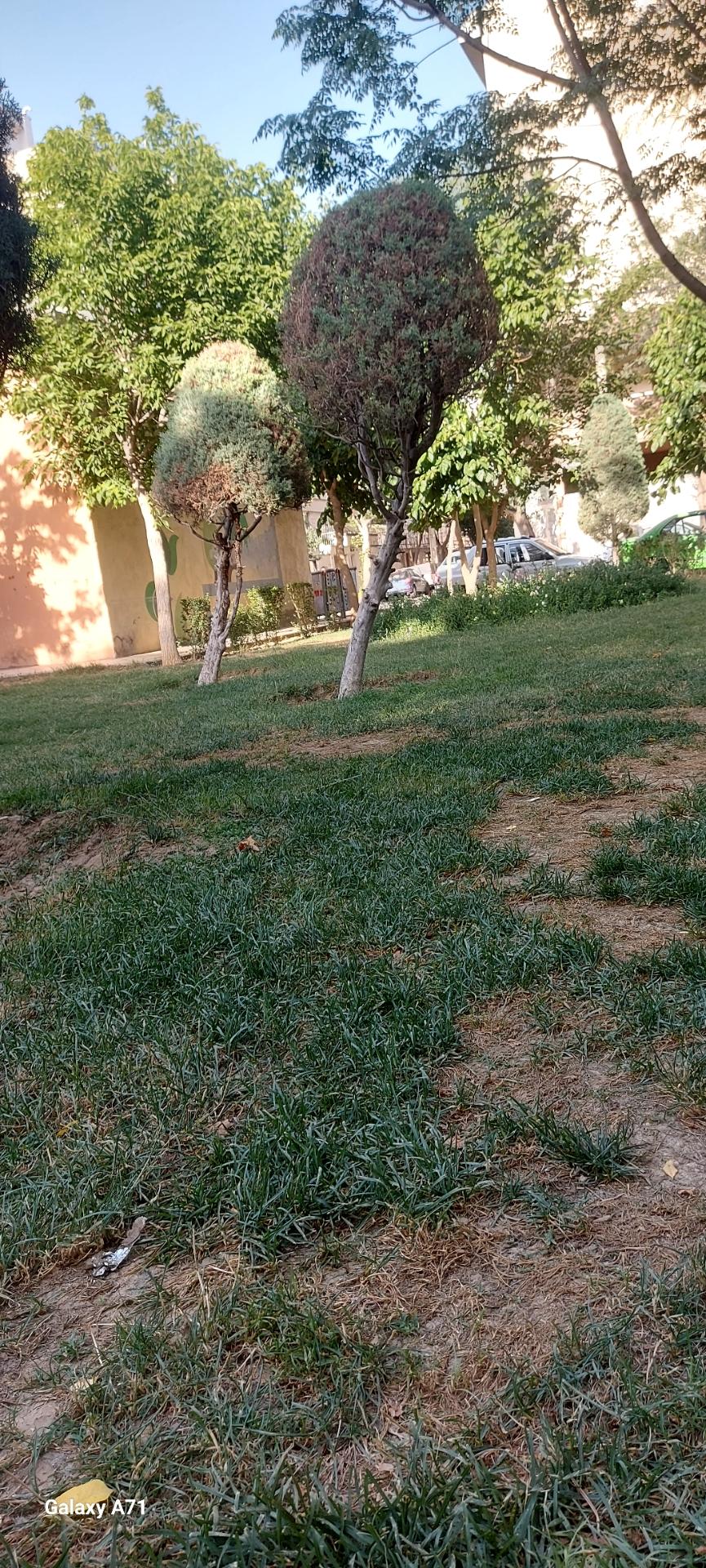 عکس بوستان قائم