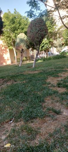 عکس بوستان قائم