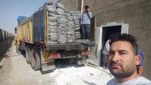 عکس پرورش قارچ آیدین