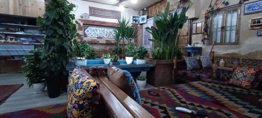 عکس جیگر میگر