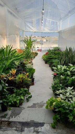 عکس سرای گل یاس کفران