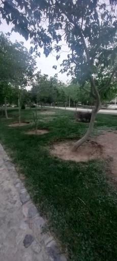 عکس بوستان زمزم