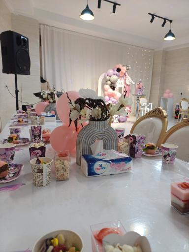 عکس سالن تولد مهرسام 