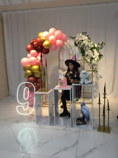 عکس سالن تولد مهرسام 