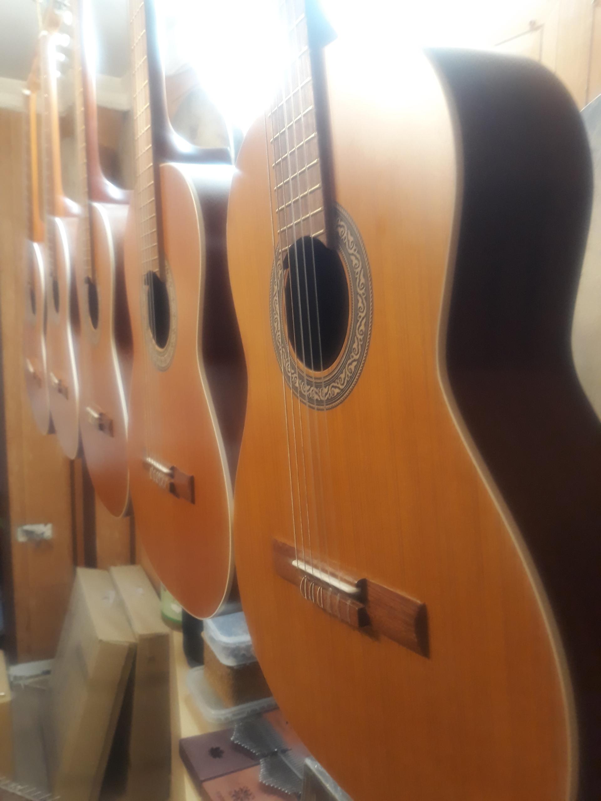 عکس فروشگاه آلات موسیقی بیداد 