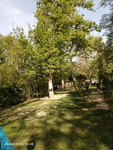 عکس بوستان قائم