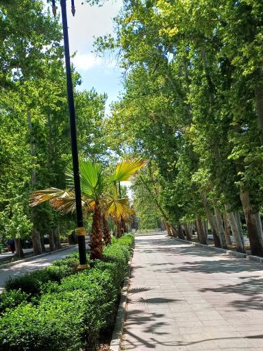 عکس بوستان قائم