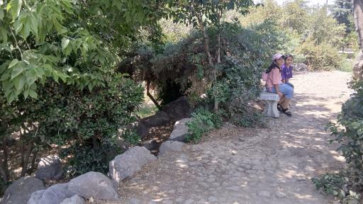عکس بوستان قائم