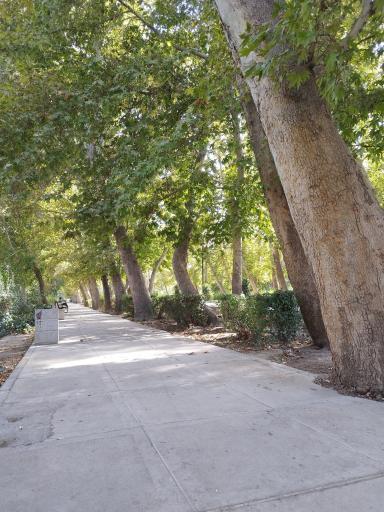 عکس بوستان قائم