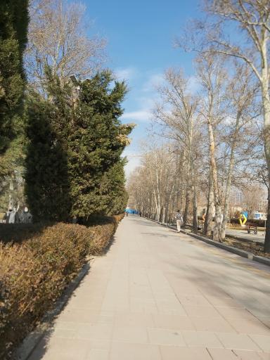 عکس بوستان قائم