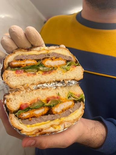 عکس پروتئینی نویدپرو