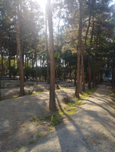 عکس بوستان کوکب