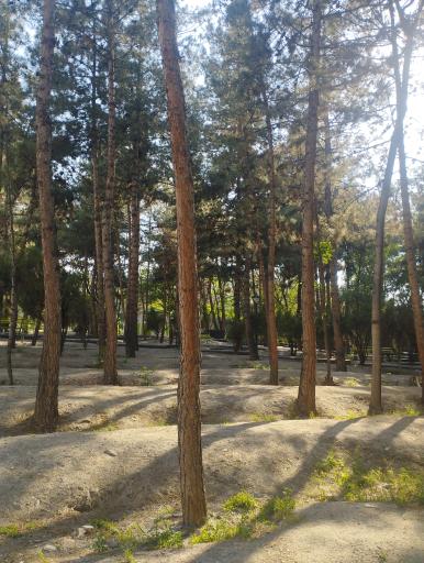 عکس بوستان کوکب