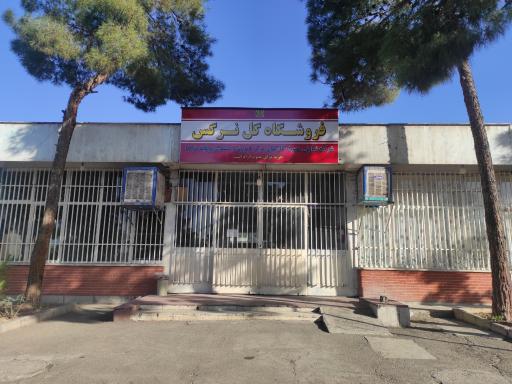 عکس فروشگاه گل نرگس 