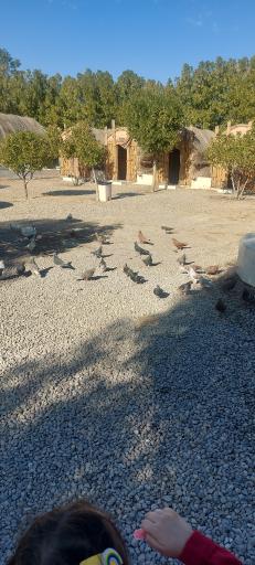 عکس مضیف حاج عبدلله