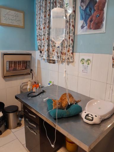 عکس کلینیک دامپزشکی مهرداد