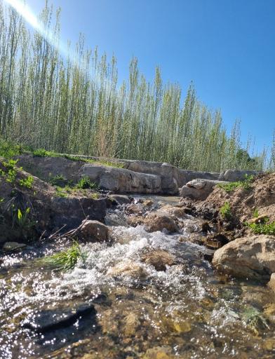 عکس جونقان