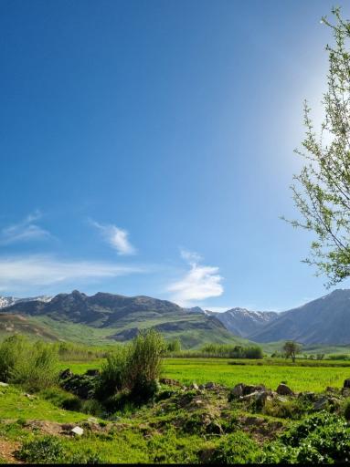 عکس جونقان