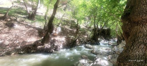 عکس جونقان