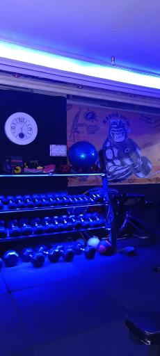 عکس باشگاه بدنسازی راشا