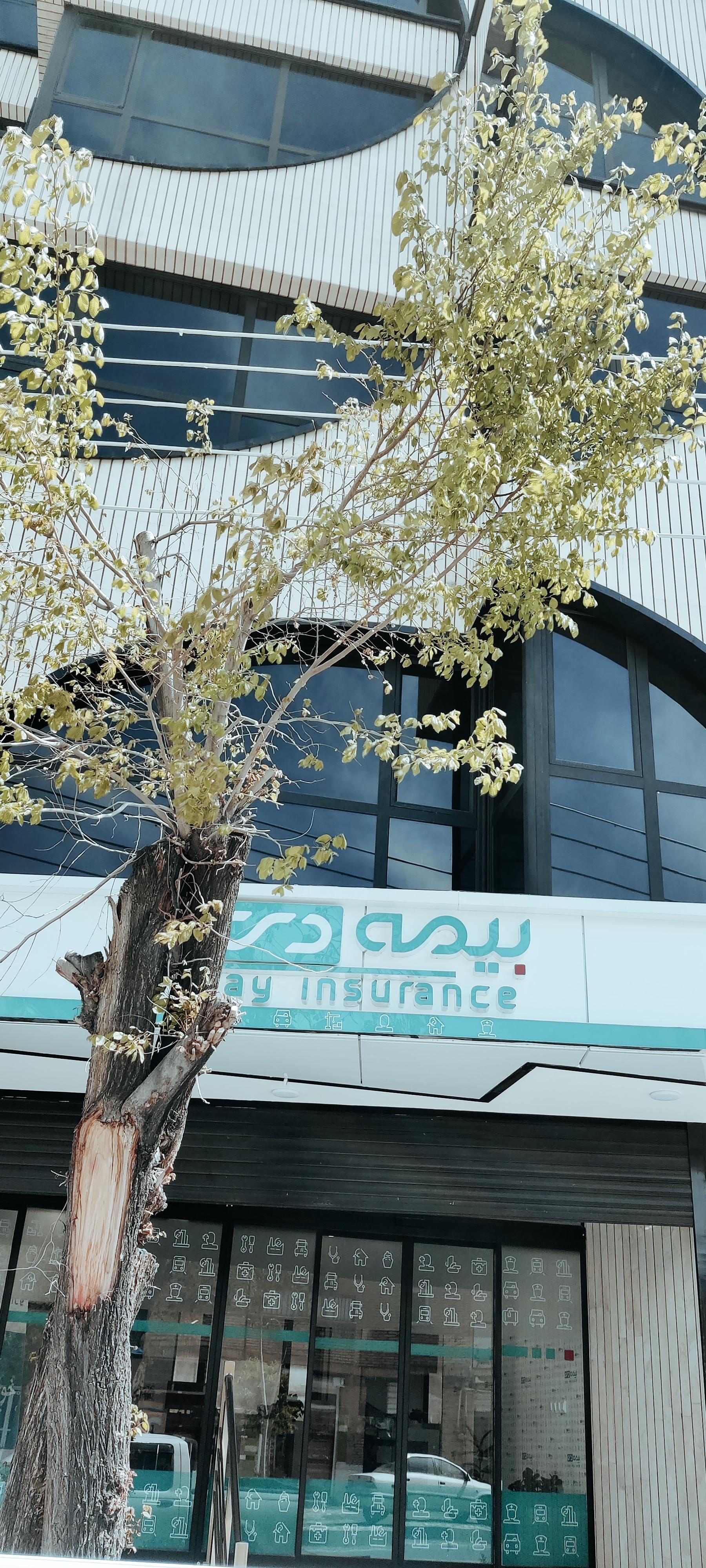 عکس ساختمان مرکزی بیمه دی