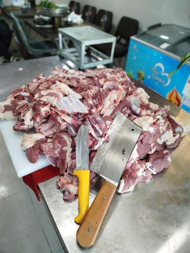 عکس دیزی سرای پوریا