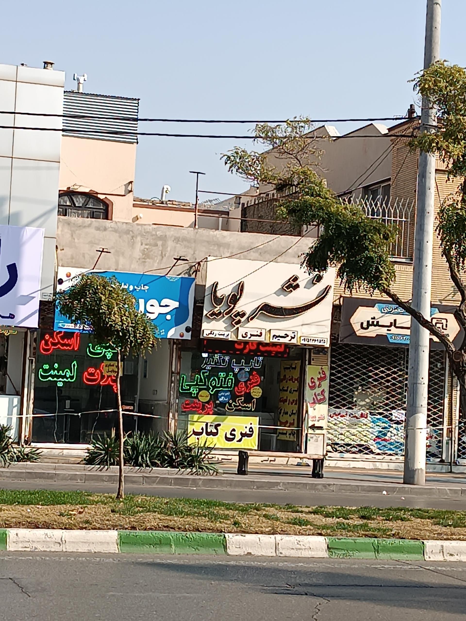 عکس نشر پویا (تایپ و تکثیر) 