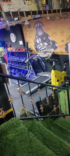 عکس باشگاه بدنسازی راشا