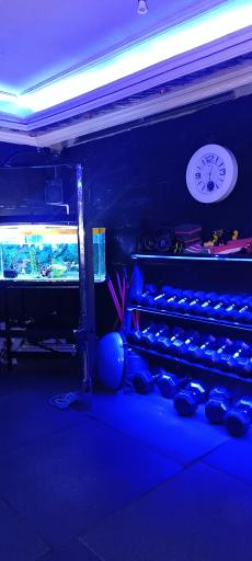 عکس باشگاه بدنسازی راشا