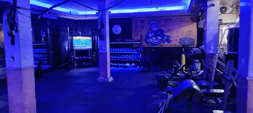 عکس باشگاه بدنسازی راشا