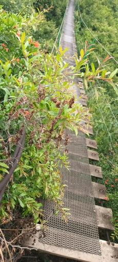 عکس مجتمع تفریحی گردشگری غار هوتو