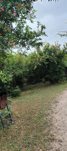 عکس مجتمع تفریحی گردشگری غار هوتو