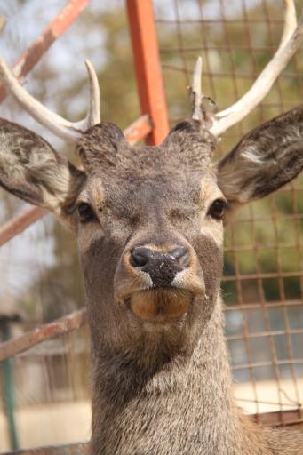 عکس مجتمع فرهنگی گردشگری کوثر 