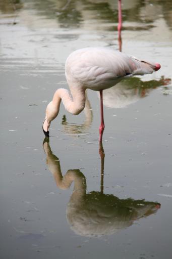 عکس مجتمع فرهنگی گردشگری کوثر 