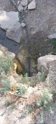 عکس چشمه سرنجدی