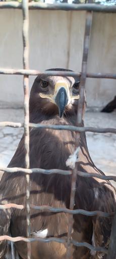 عکس مجتمع فرهنگی گردشگری کوثر 