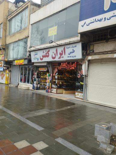 ایران کفش