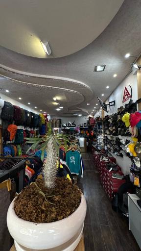 عکس داوین کمپ 