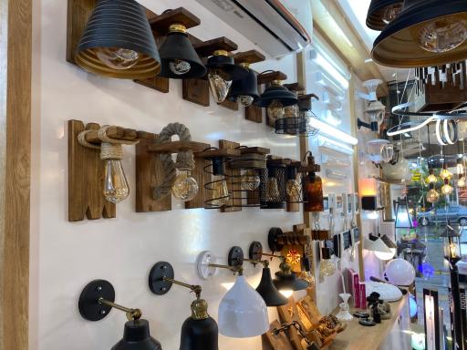 روشا الکتریک