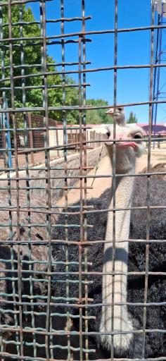 عکس مجتمع فرهنگی گردشگری کوثر 